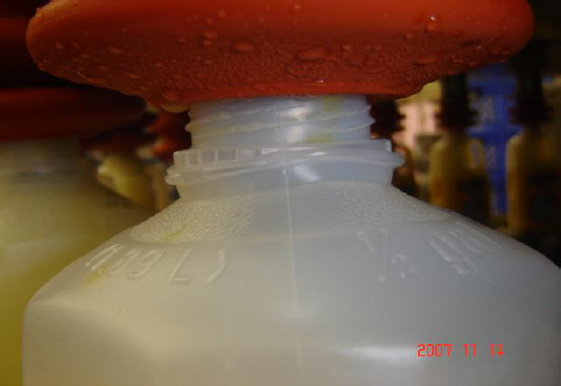 Collapsing The Bottle